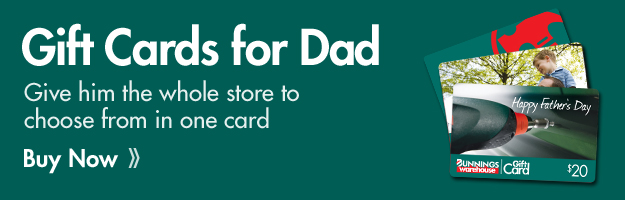 Bunnings Warehouse Lowest prices are just the beginning