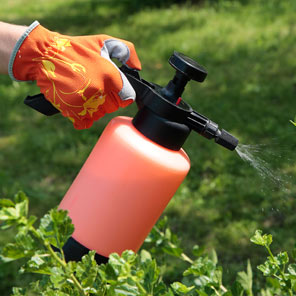 How To Protect Your Vegetable Garden | Bunnings | Bunnings Warehouse