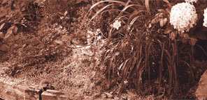 How To Install Garden Edging | DIY With Bunnings | Bunnings Warehouse