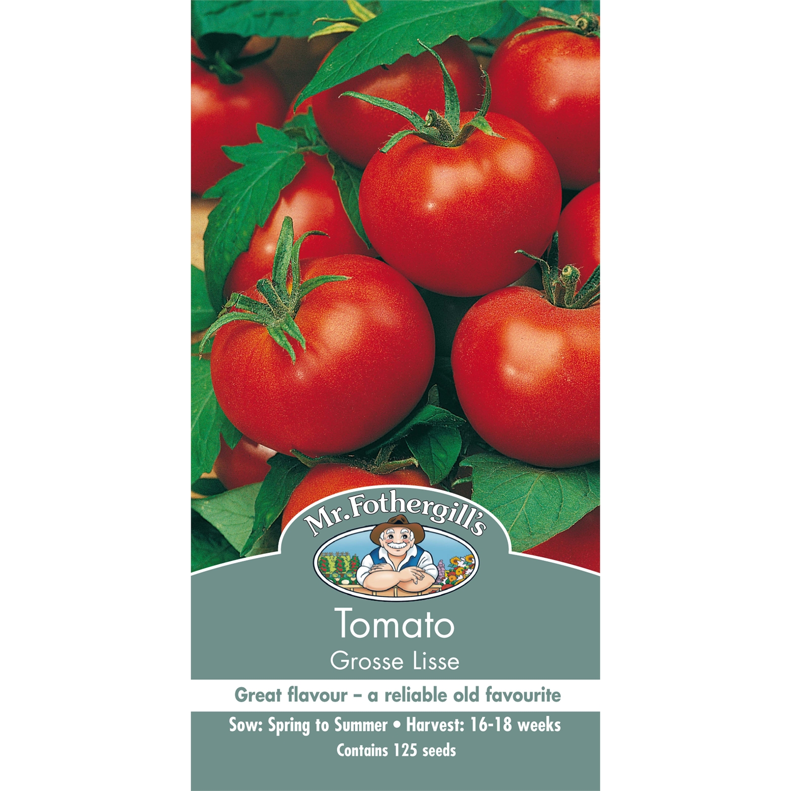 Mr Fothergill's Grosse Lisse Tomato Vegetable Seeds