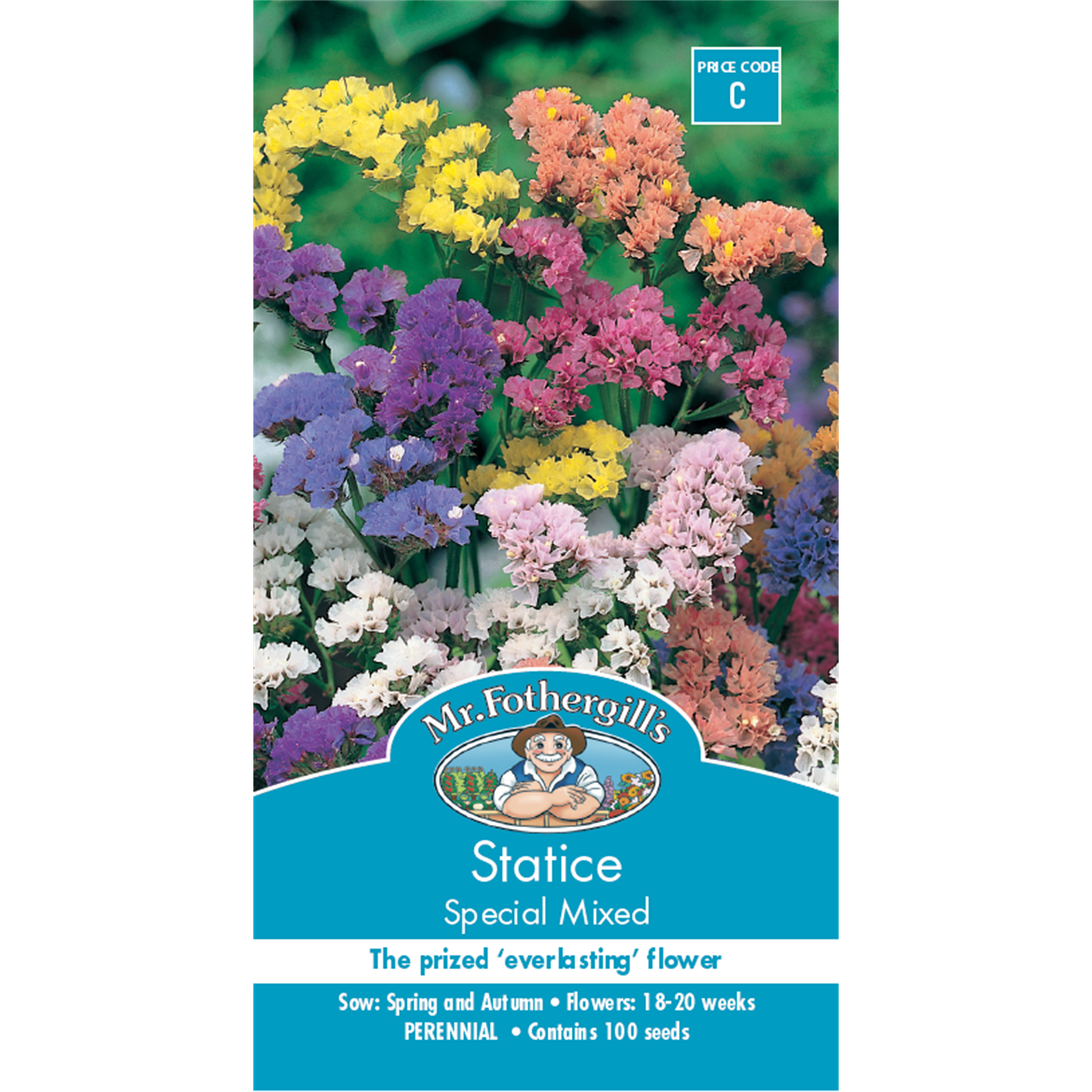 Mr Fothergill's Statice Special Mixed Seeds