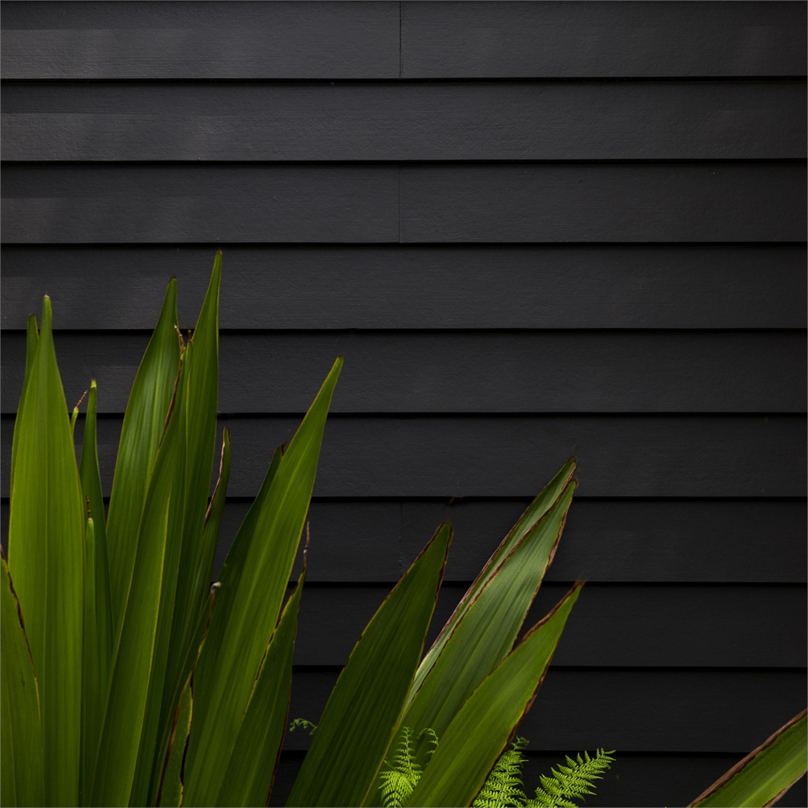 Scyon Linea 4200 X 150 X 16mm Fc Weatherboard Bunnings Warehouse 8224