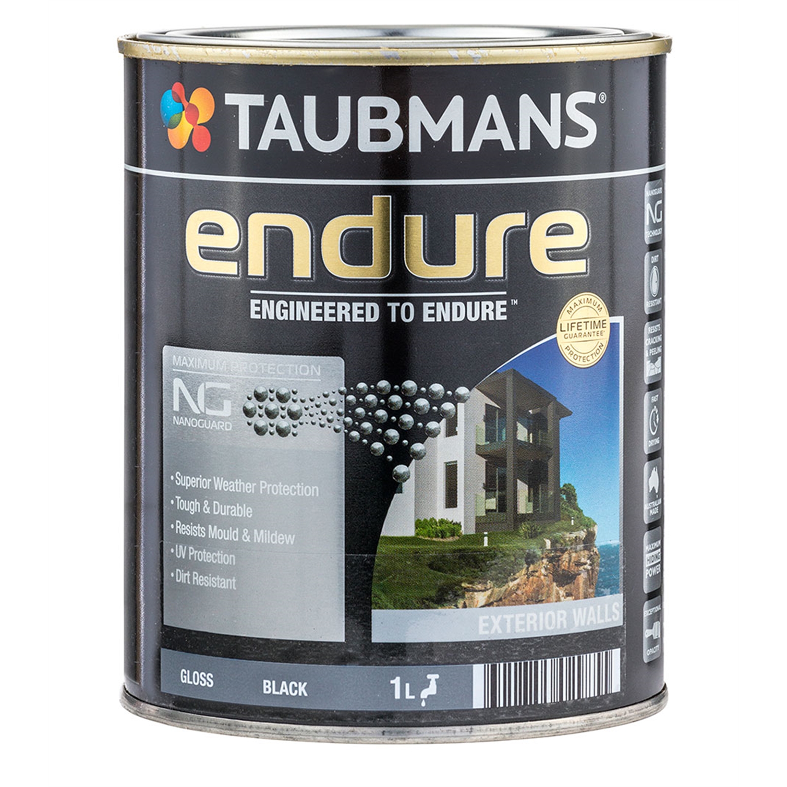 Taubmans Endure 1L Black Gloss Exterior Paint