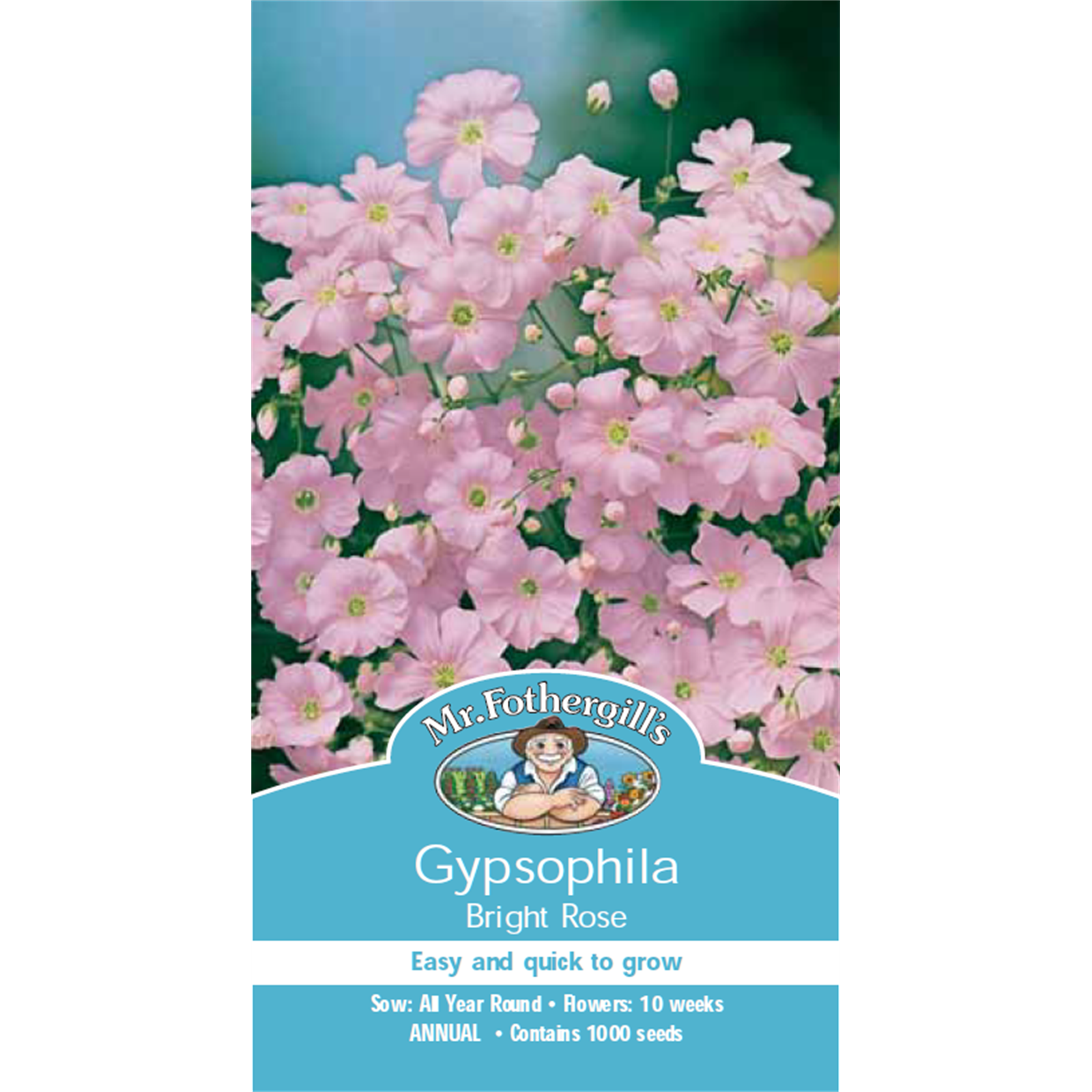 Mr Fothergill's Bright Rose Gypsophila Flower Seeds