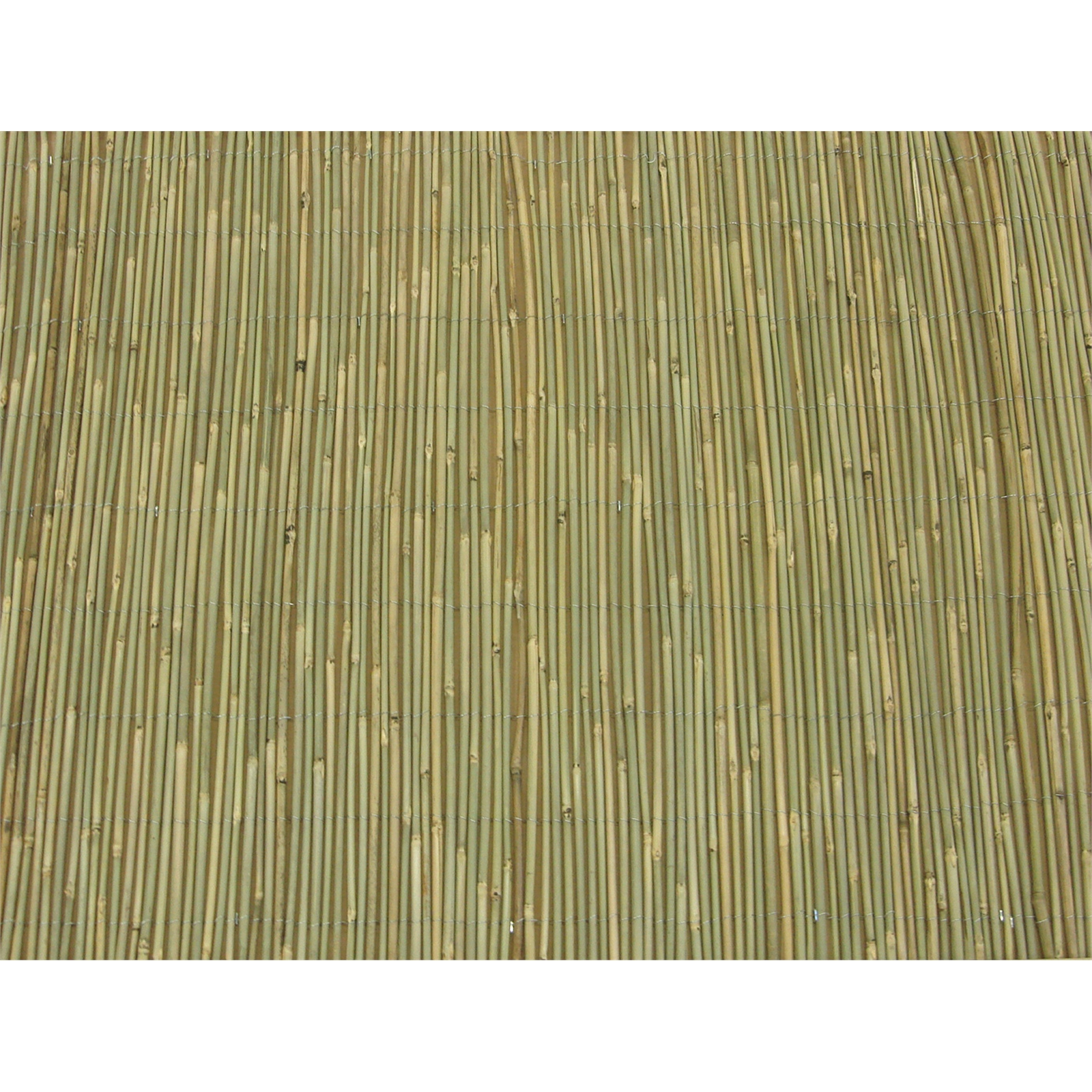 Eden 1.8 x 3m Natural Bamboo Fence Screening