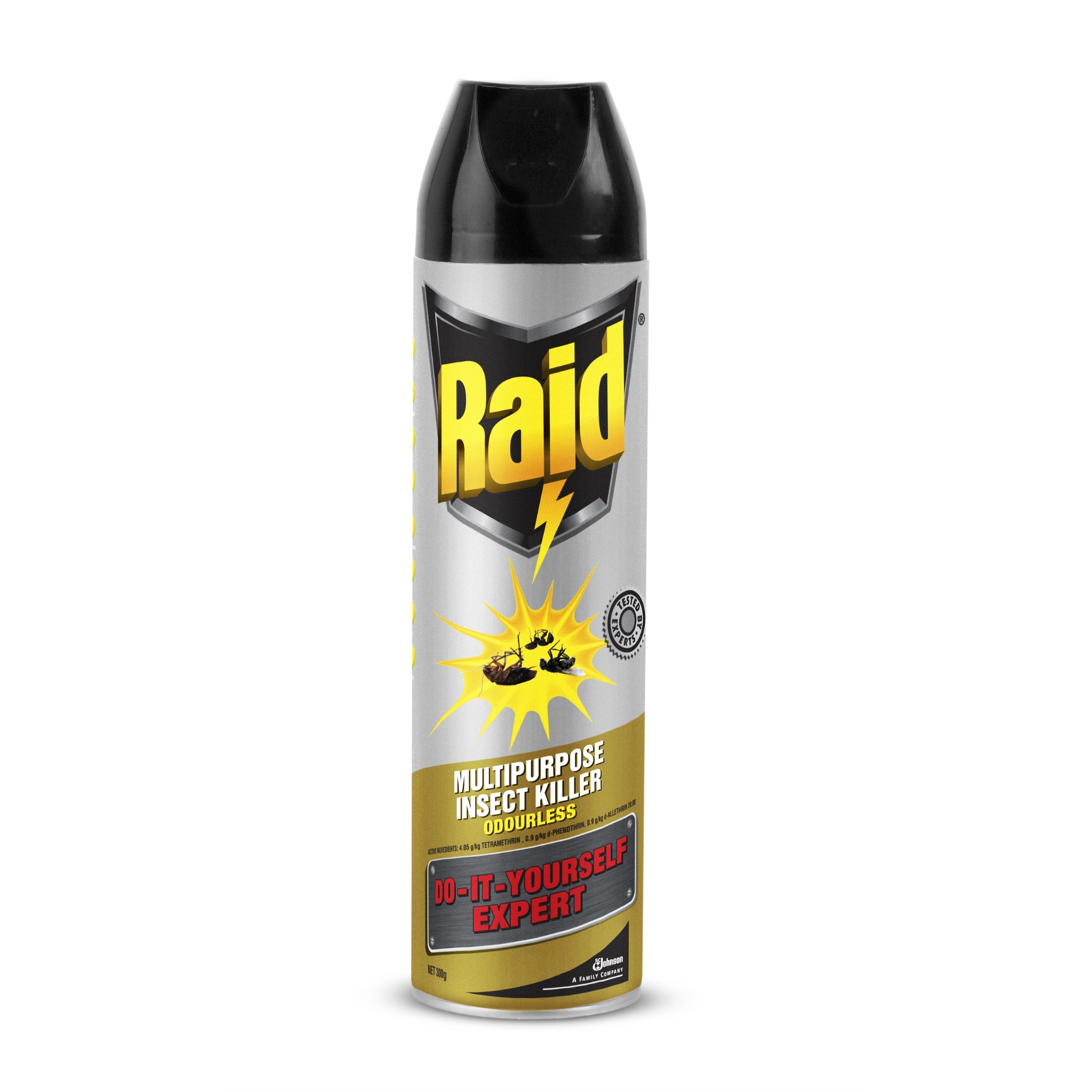 Raid 300g DIY Expert Multi Purpose Odourless Insecticide