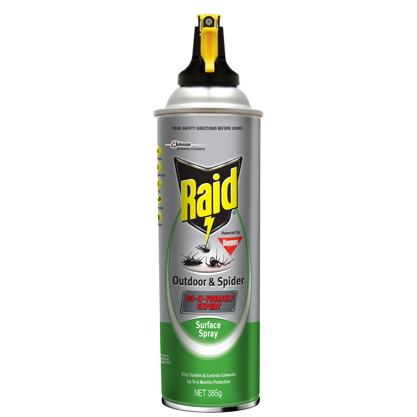 Raid 385g Outdoor And Spider Insecticide Aerosol