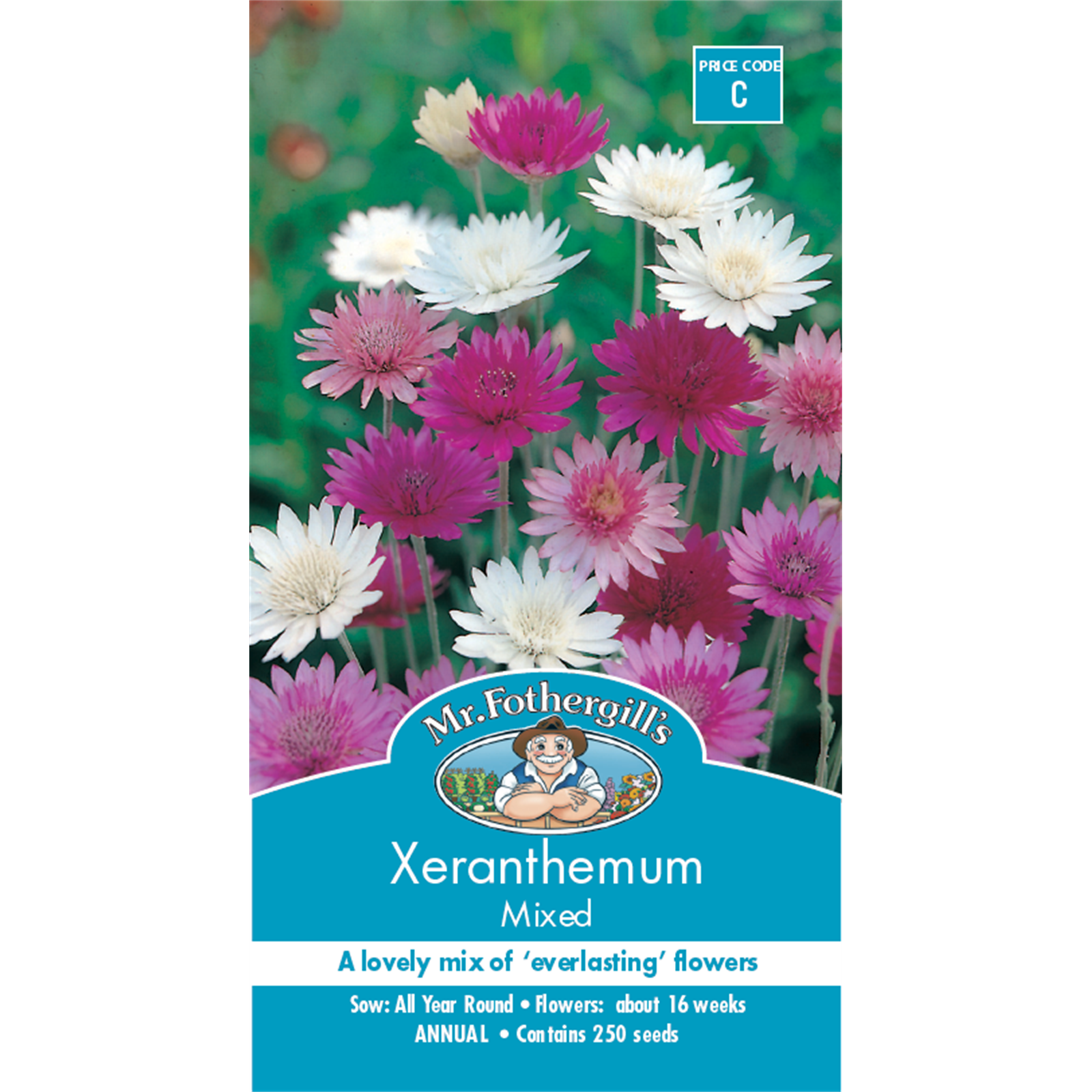 Mr Fothergill's Xeranthemum Strawflower Flower Seed
