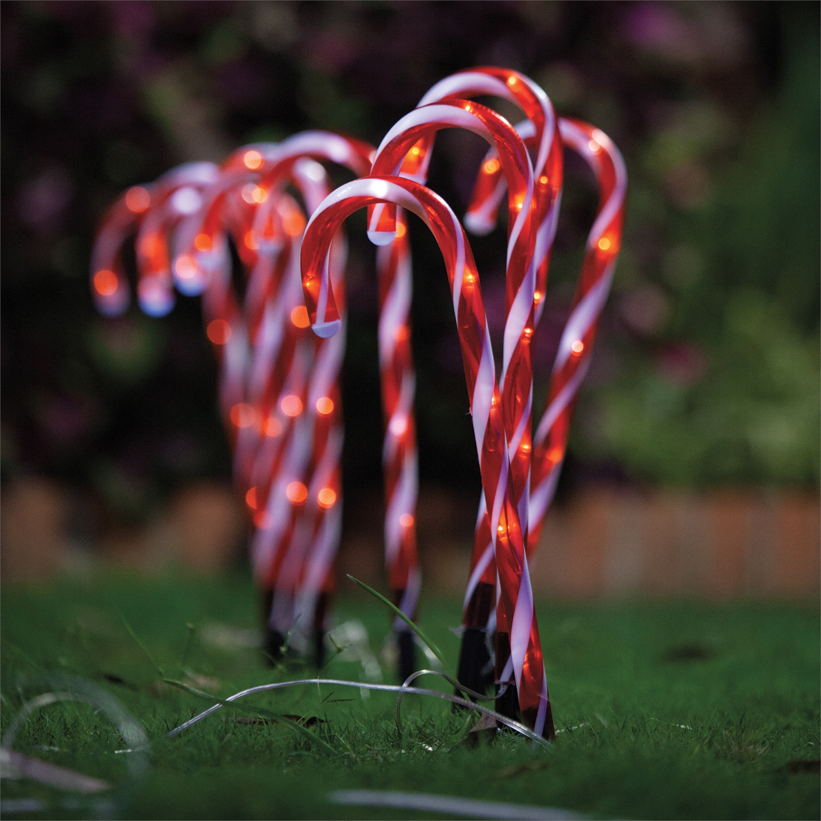 Brand New Candy Cane Festive Solar Stake 46cm 60 LED 10 Pack Christmas Lights  eBay