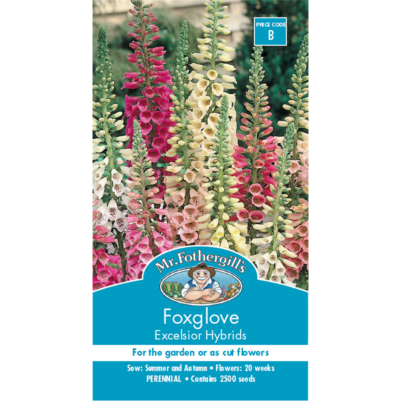 Mr Fothergill's Foxglove Excelsior Flower Seeds