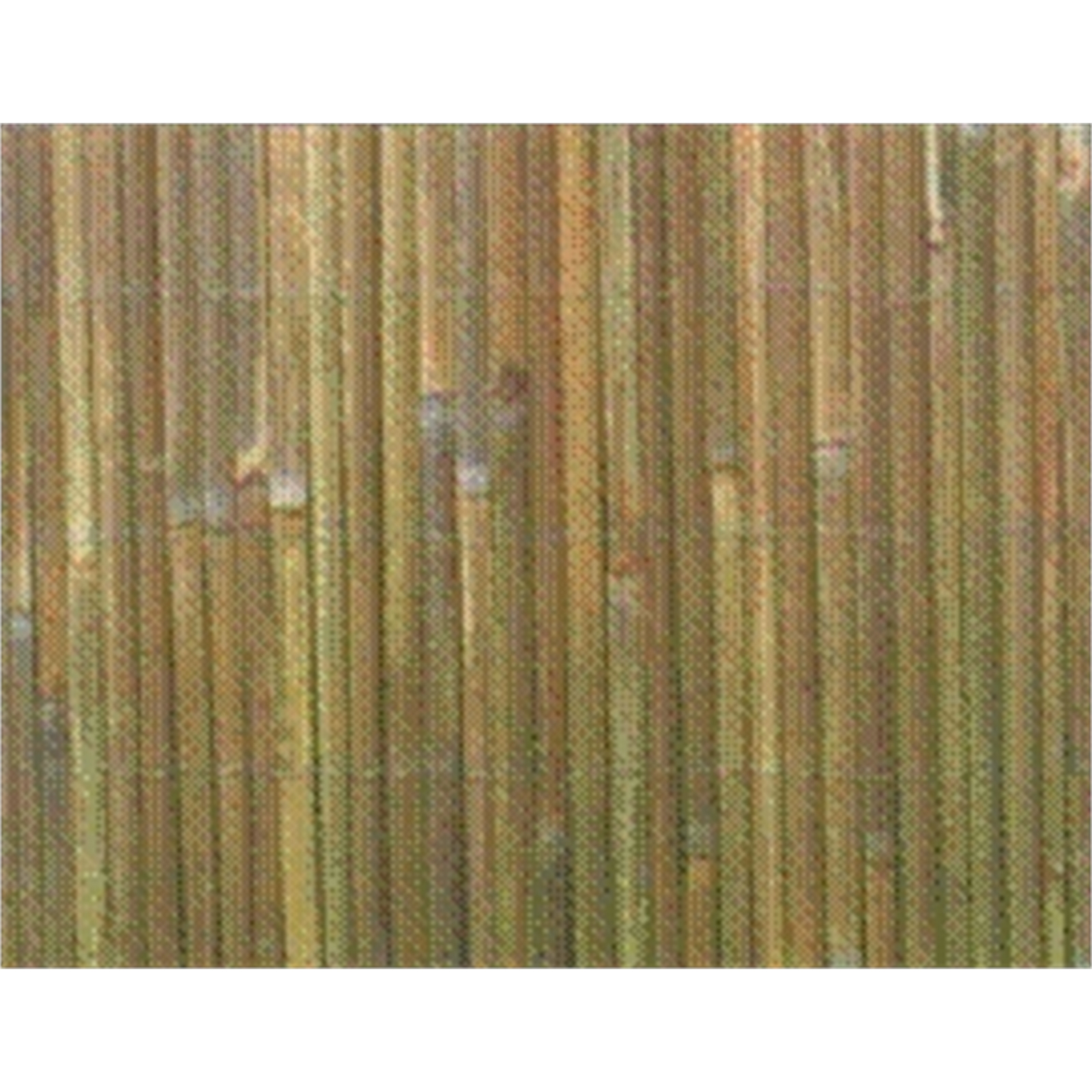Eden 1 x 3m Bamboo Slat Fence Screening