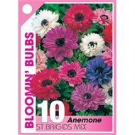 Download Annual Flowers | Year Round Flowering Plants At Bunnings