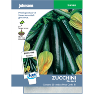 Growing Blackjack Zucchini