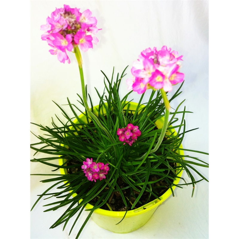 Our Range | The Widest Range of Tools, Lighting ...