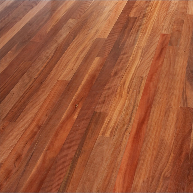 8mm 1.91sqm Spotted Gum Laminate Flooring | Bunnings Warehouse