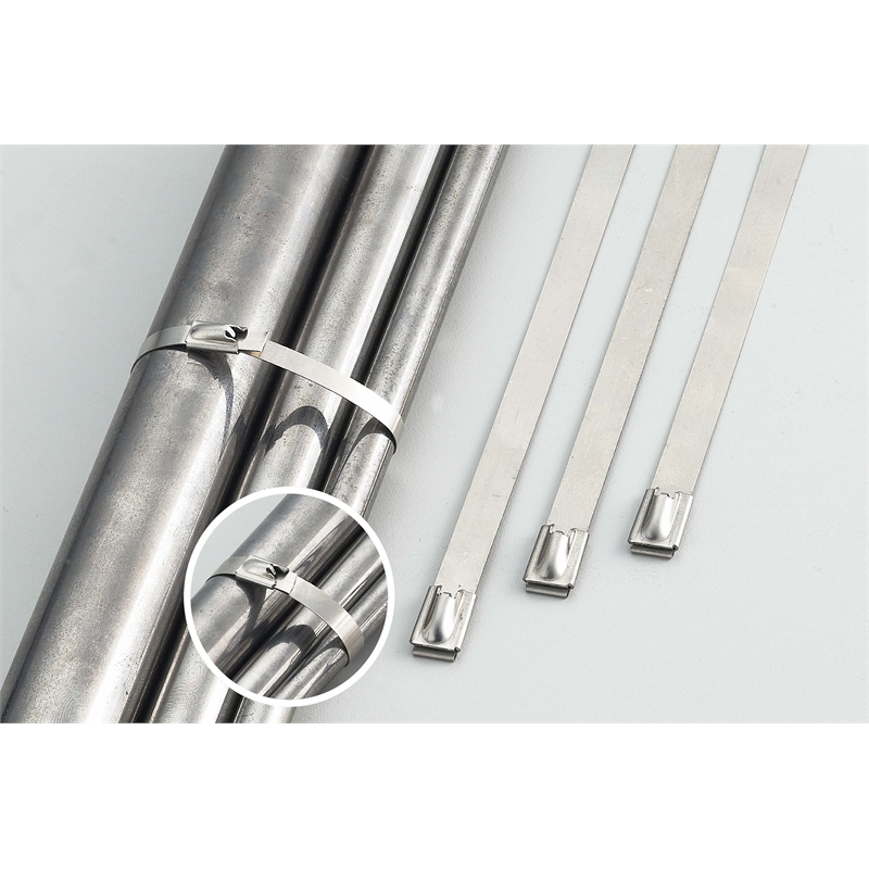 Stahl 250 x 4.6mm Stainless Steel Cable Ties 10 Pack I/N 4430334