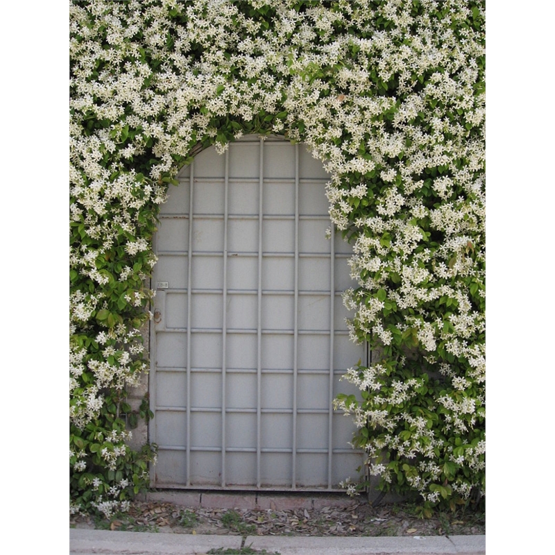 Our Range The Widest Range of Tools, Lighting & Gardening Products