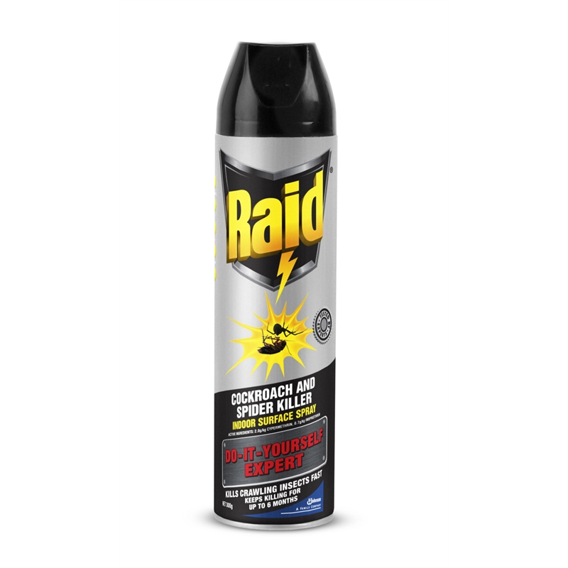 Raid 300g DIY Expert Cockroach And Spider Spray I/N ...