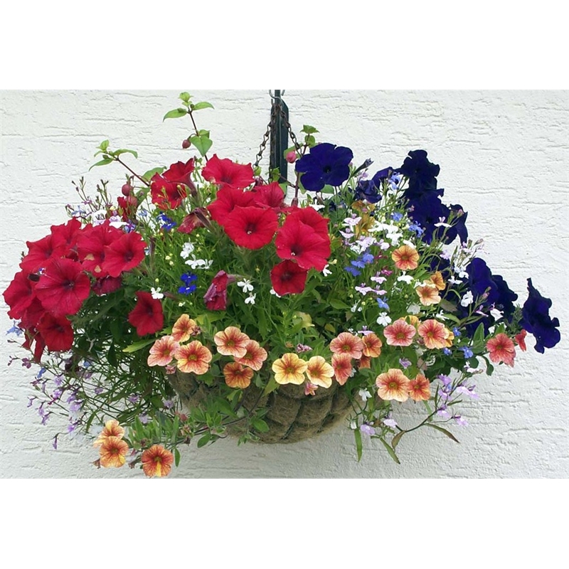 Our Range The Widest Range of Tools, Lighting & Gardening Products