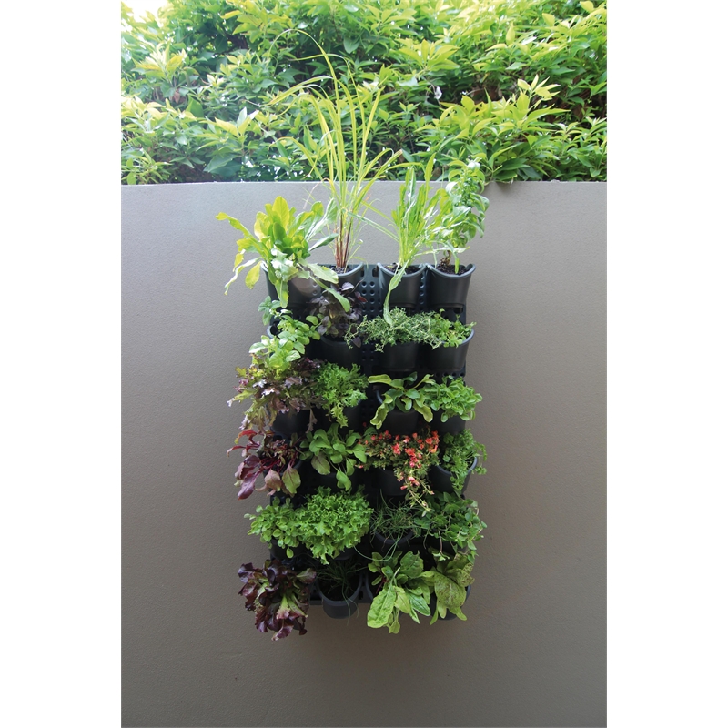 Holman GreenWall Vertical Garden Kit I/N 2940859 | Bunnings Warehouse