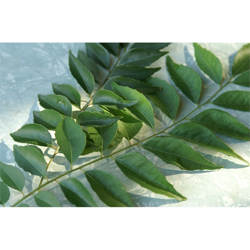 Our Range The Widest Range of Tools, Lighting & Gardening Products