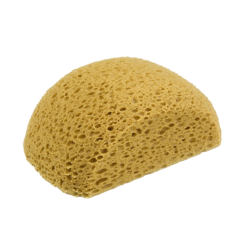 DTA Turtle Back Sponge Bunnings Warehouse