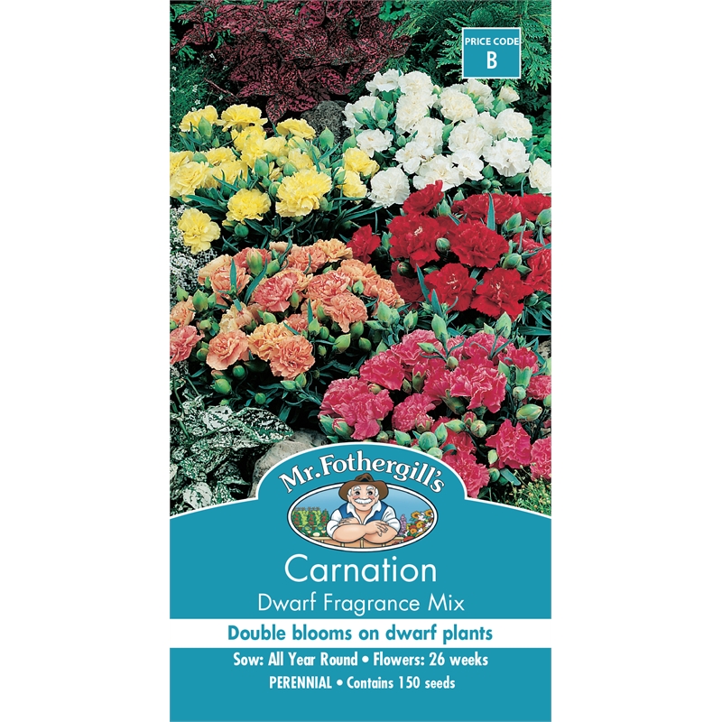 Mr Fothergill's Carnation Dwarf Fragrance Mix Bunnings Warehouse