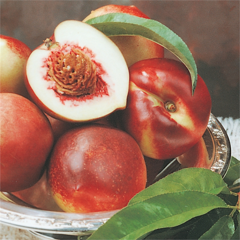 Our Range The Widest Range of Tools, Lighting & Gardening Products