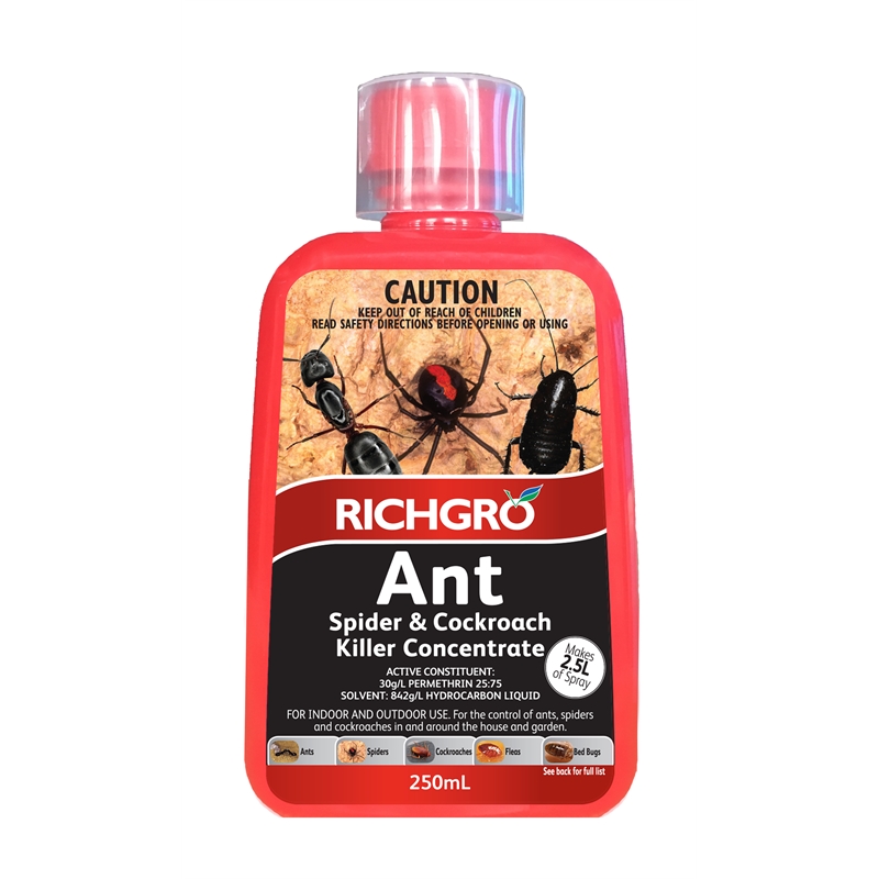 richgro spider killer
