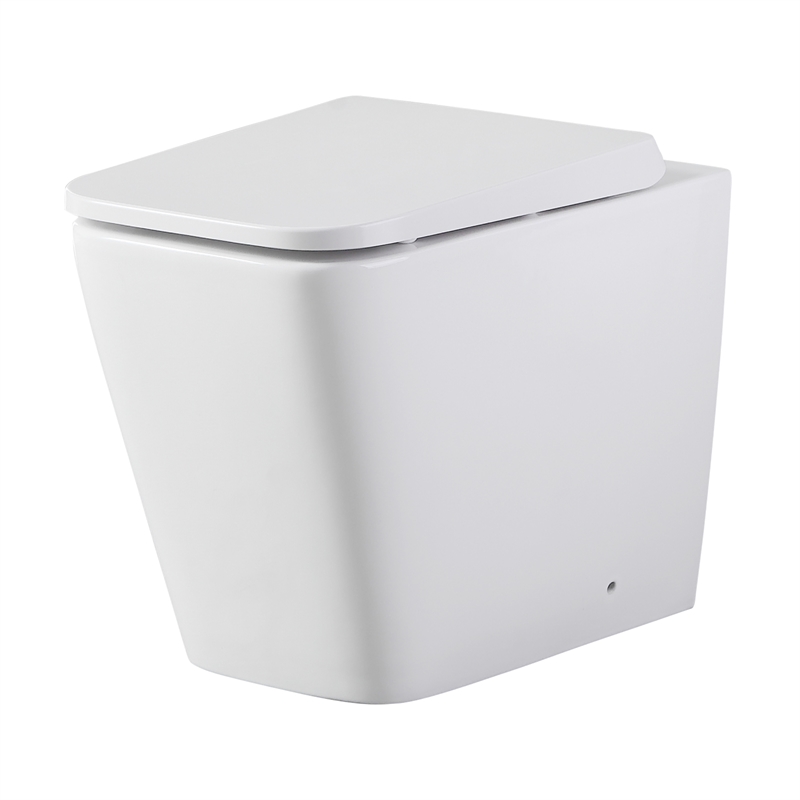 Mondella Rococo Rimless Back To Wall Toilet Pan Bunnings Warehouse