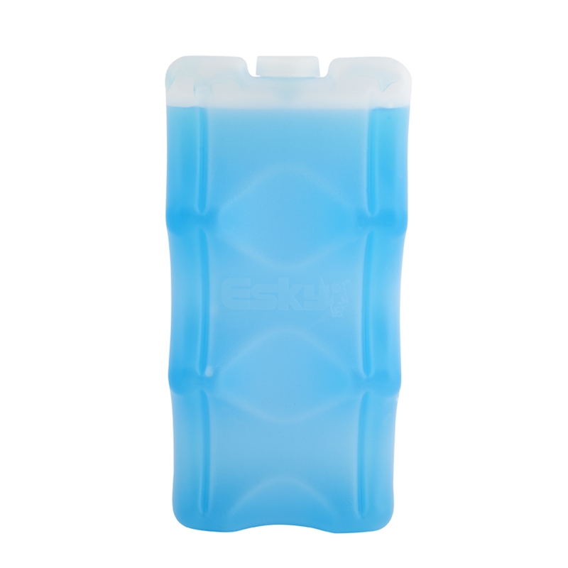 Esky 6 Can / 2 Bottle Ice Cooler Brick Bunnings Warehouse