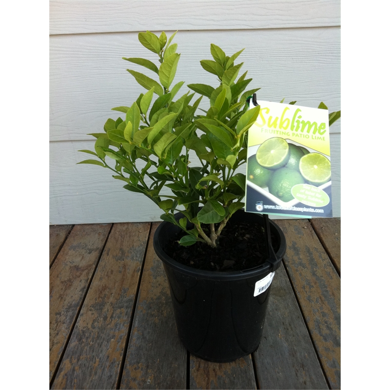 Our Range The Widest Range of Tools, Lighting & Gardening Products