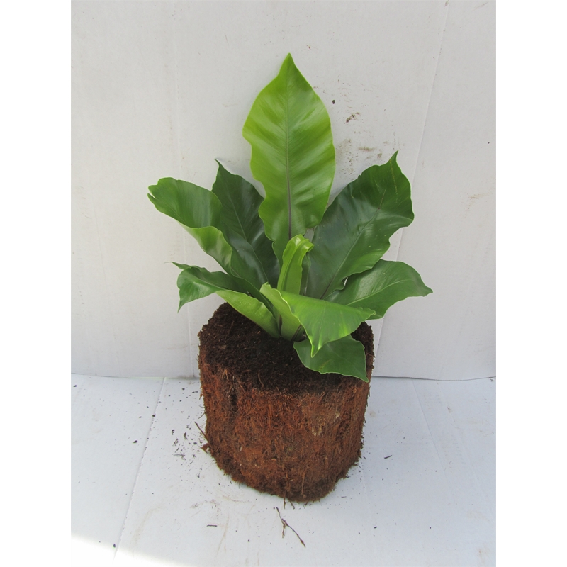 Our Range The Widest Range of Tools, Lighting & Gardening Products