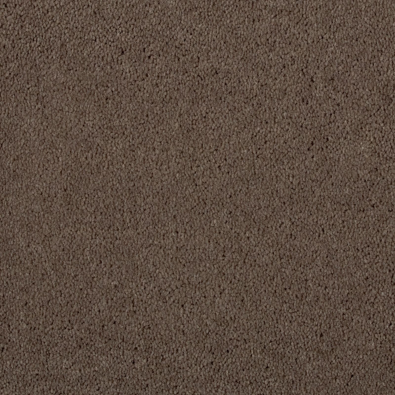 Our Range The Widest Range of Tools, Lighting & Gardening Products