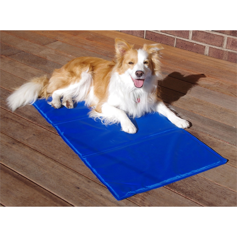 Pillar Products 500 x 400mm Pet Cooling Mat | Bunnings Warehouse