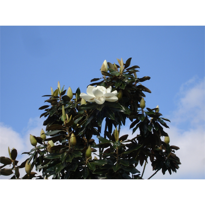 Our Range The Widest Range of Tools, Lighting & Gardening Products