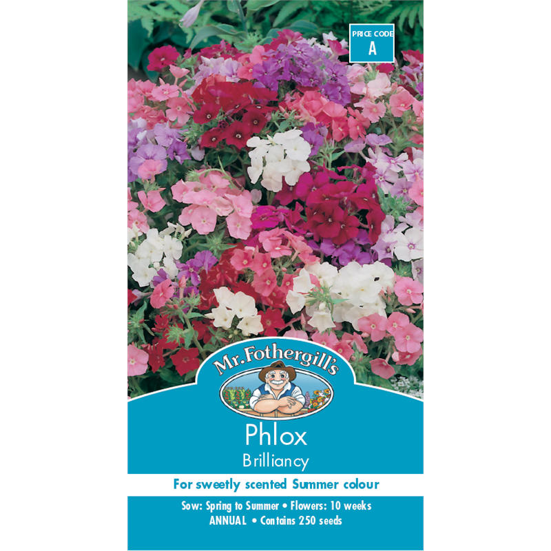 Mr Fothergill's Phlox Brilliancy Flower Seeds | Bunnings Warehouse