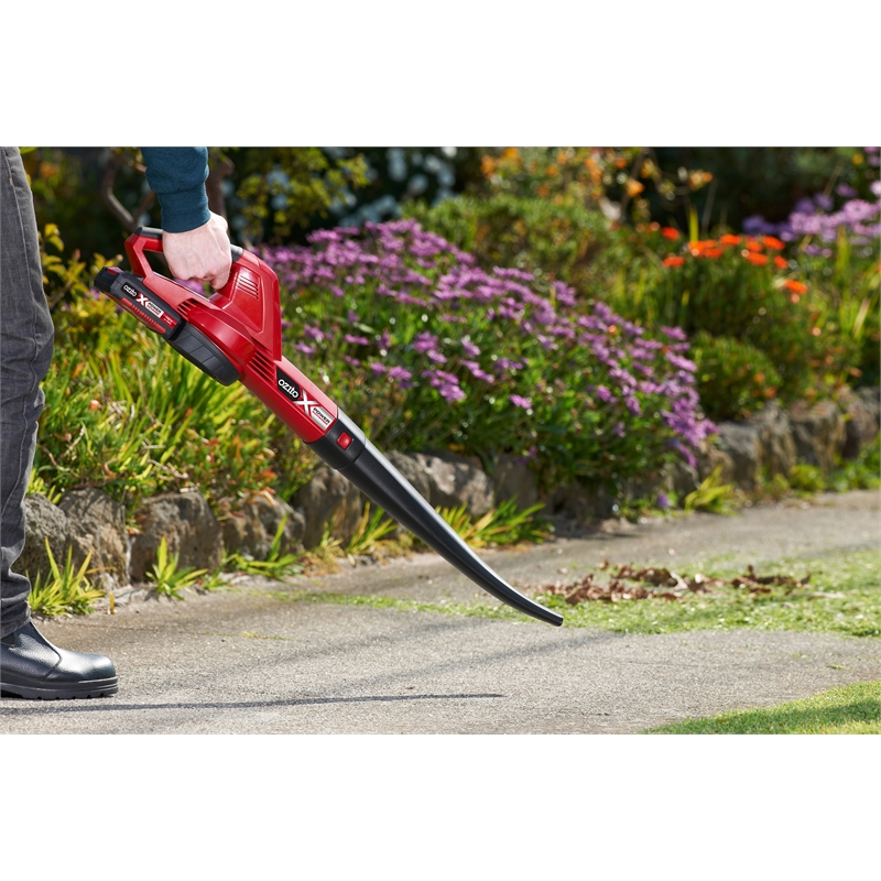Ozito Power X Change 18V Blower And Lawn Edger Kit Bunnings Warehouse