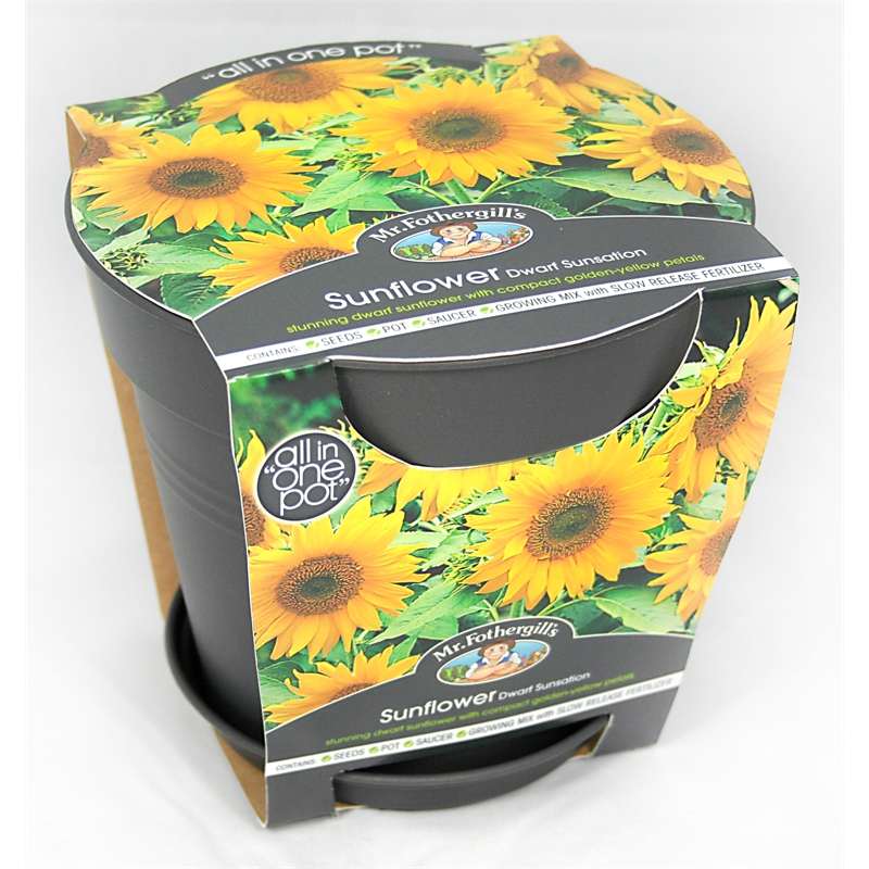 Mr Fothergill's Dwarf Sunflower Grow Pot Seed Kit Bunnings Warehouse