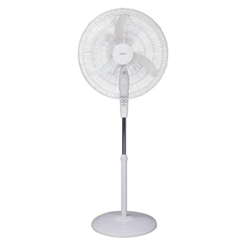 Arlec 75cm Little Max Ceiling Fan Cooling Lighting And Mistral 50cm White Pedestal Fan At Bunnings Warehouse In Maitland Nsw Tuggl