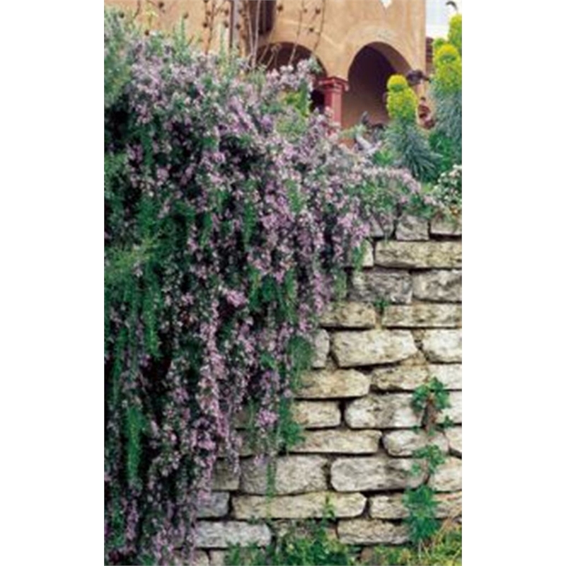 Our Range The Widest Range of Tools, Lighting & Gardening Products