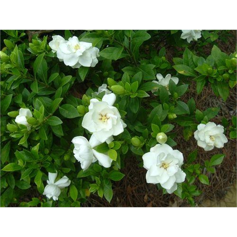 Our Range The Widest Range of Tools, Lighting & Gardening Products