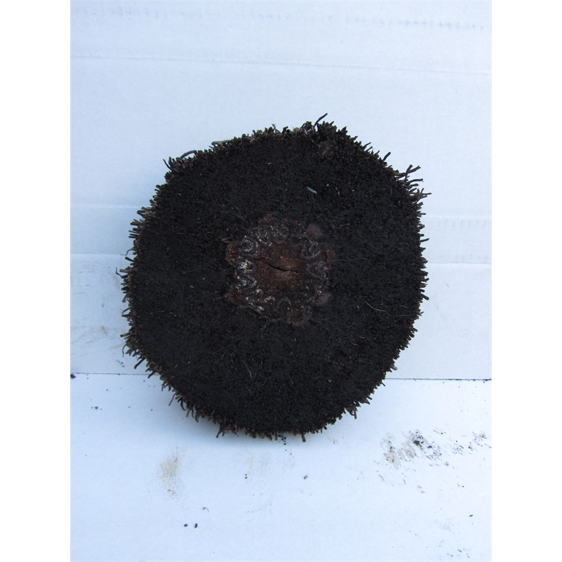 Our Range The Widest Range of Tools, Lighting & Gardening Products