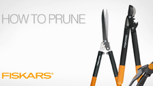 Fiskars Medium Soft Grip Bypass Pruner | Bunnings Warehouse